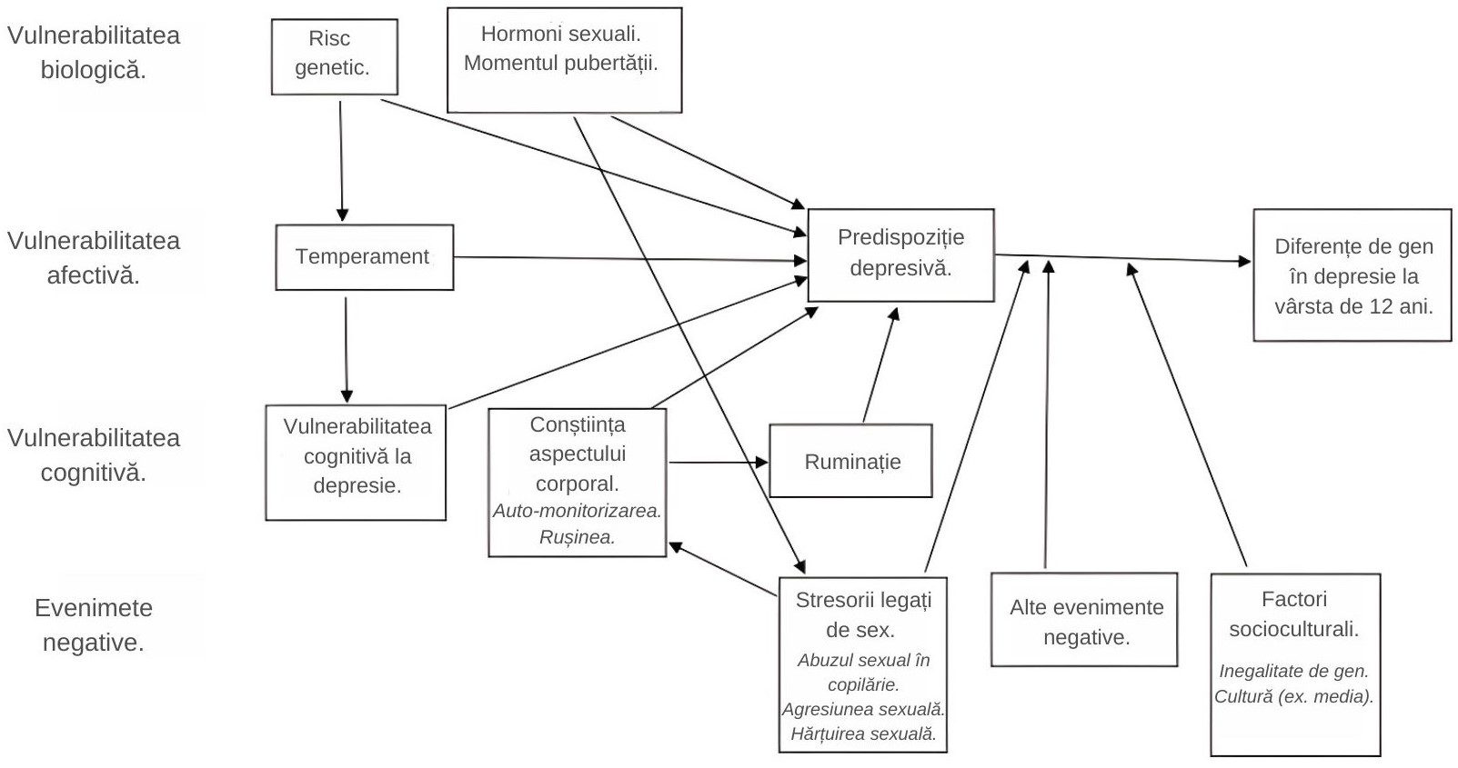 Figura 1. Modelul ABC al diferențelor de gen în depresie (actualizat din Hyde, Mezulis și Abramson, 2008).